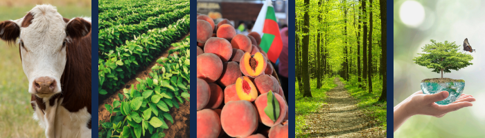 Livestock/Crops Header